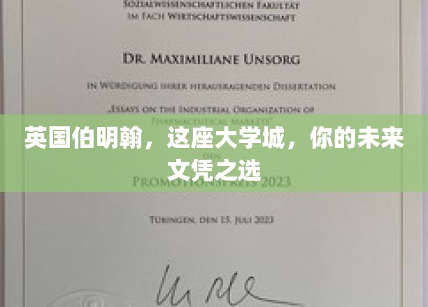 伯明翰学府新篇，探寻你的未来文凭理想之地