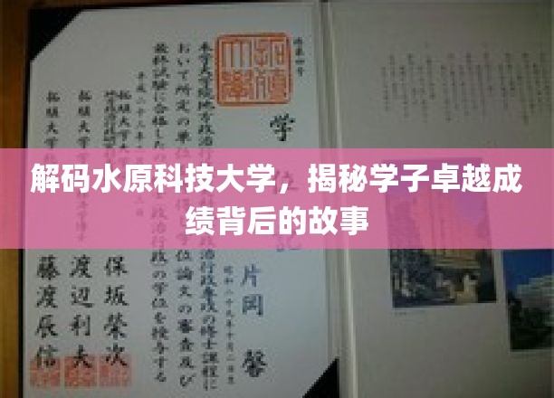 探秘水原科技大学，学子非凡成就背后的传奇力量
