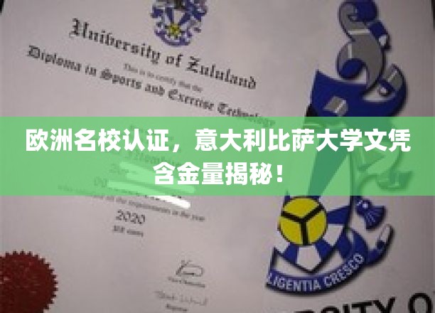欧洲名校认证，意大利比萨大学文凭含金量揭秘！