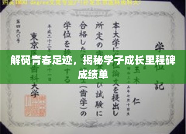 青春印记解密，学子成长轨迹全景扫描