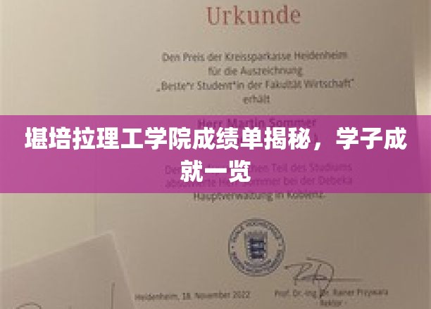 堪培拉理工学院成绩单揭秘，学子成就一览