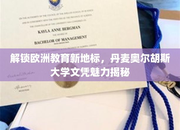 探索丹麦教育瑰宝，奥尔胡斯大学文凭背后的全球吸引力