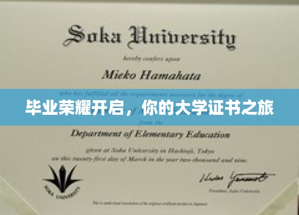 荣耀启航，揭开大学证书的非凡旅程