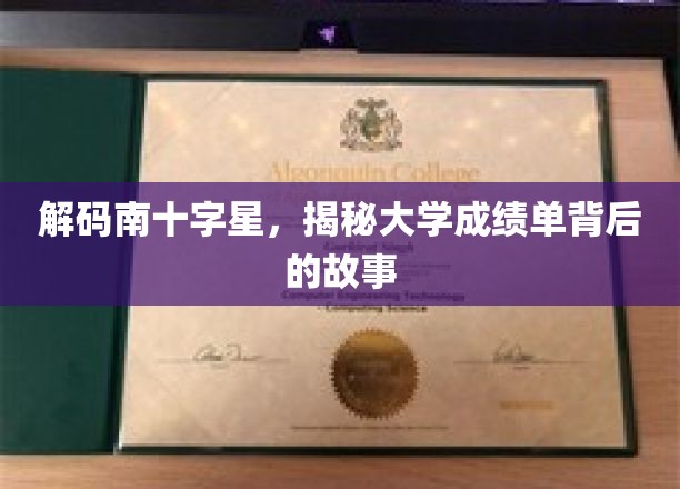 探寻南十字星下的学术奥秘，大学成绩单背后的真实篇章