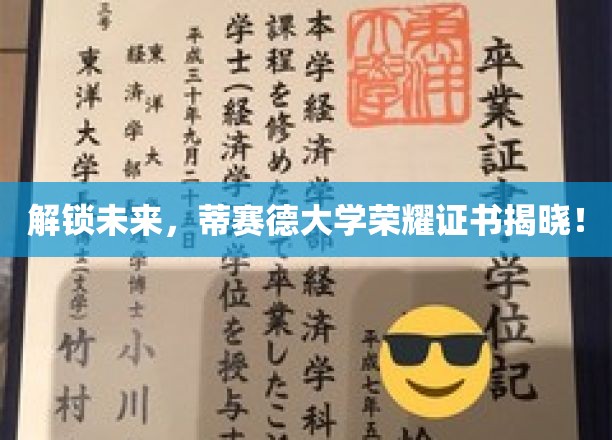 蒂赛德大学未来之钥，荣耀证书盛大揭晓，共鉴辉煌时刻