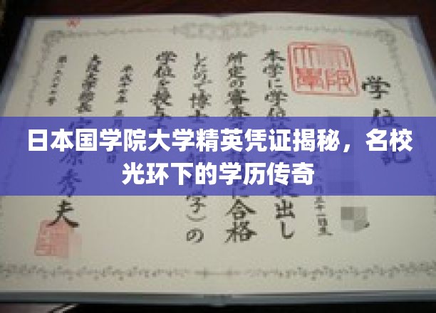 日本国学院大学精英身份之谜，名校背后的学历传奇解析