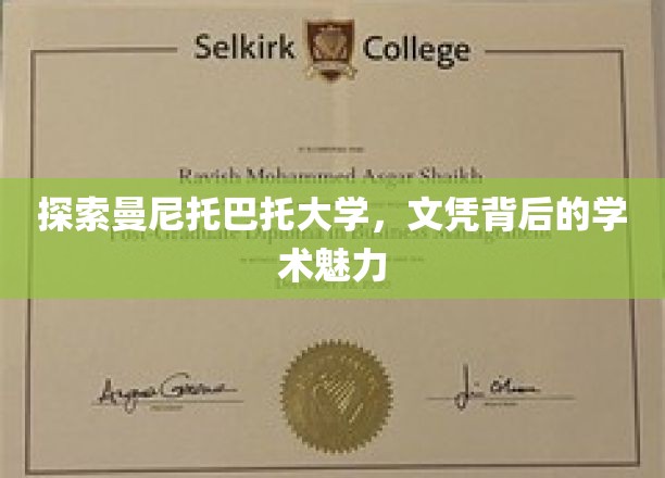 探索曼尼托巴大学，文凭背后的学术魅力