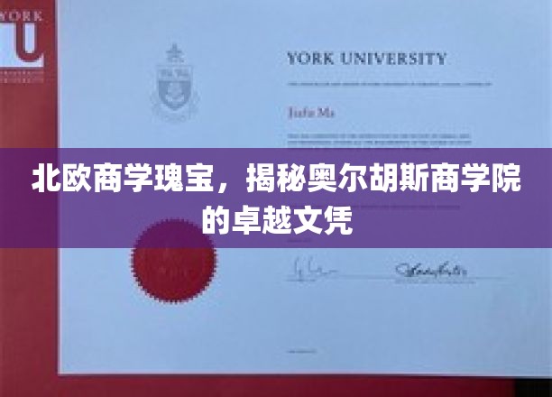 北欧商学瑰宝，揭秘奥尔胡斯商学院的卓越文凭