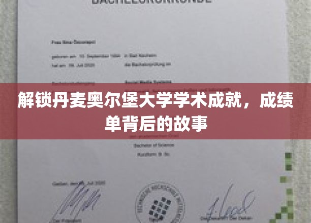 探寻丹麦奥尔堡大学辉煌成就，揭开学子背后的奋斗传奇