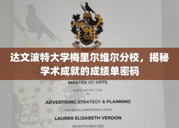 达文波特大学梅里尔维尔分校，揭秘学术成就的成绩单密码