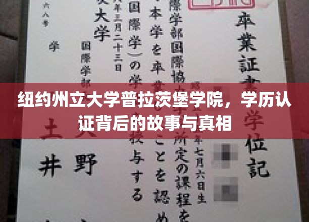 探寻纽约州立大学普拉茨堡学院学历认证的神秘面纱