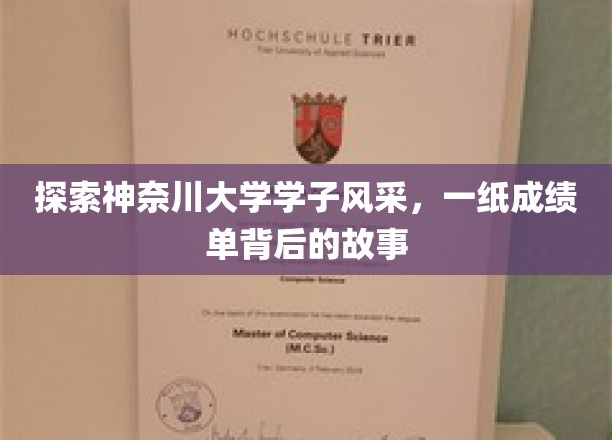 神奈川大学精英之路，揭秘学子成绩单背后的青春足迹