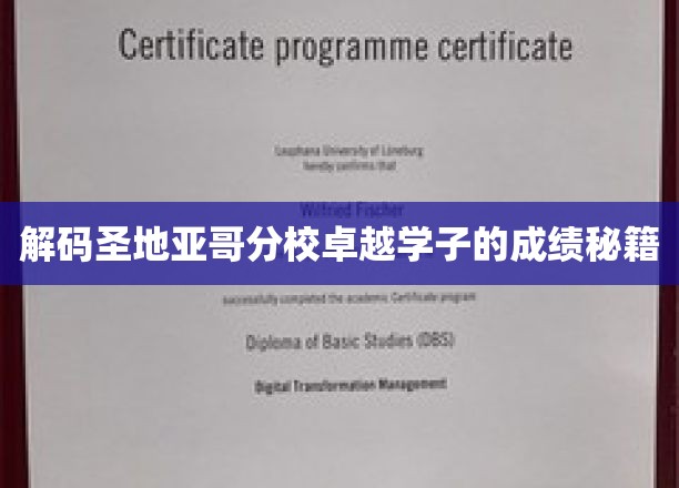 揭秘圣地亚哥分校学霸的秘密武器