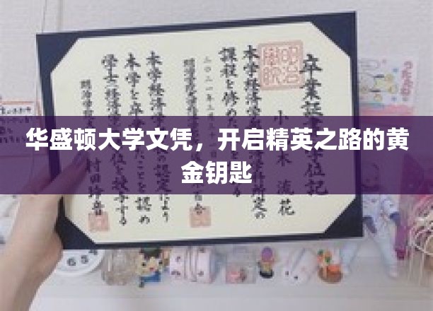华盛顿大学文凭，解锁未来精英的璀璨生涯之路