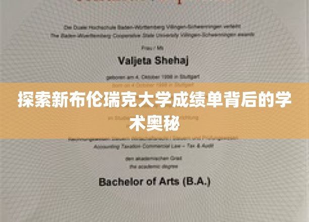 探索新布伦瑞克大学成绩单背后的学术奥秘