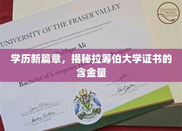 学历新视界，探秘拉筹伯大学证书的非凡价值
