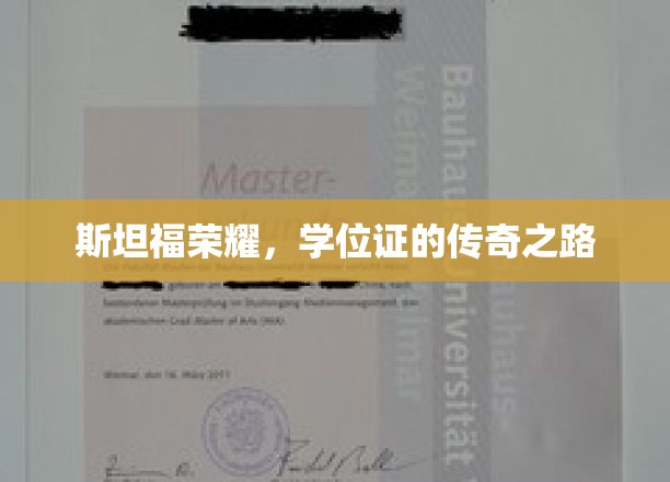 斯坦福骄子，学位证书背后的非凡征途