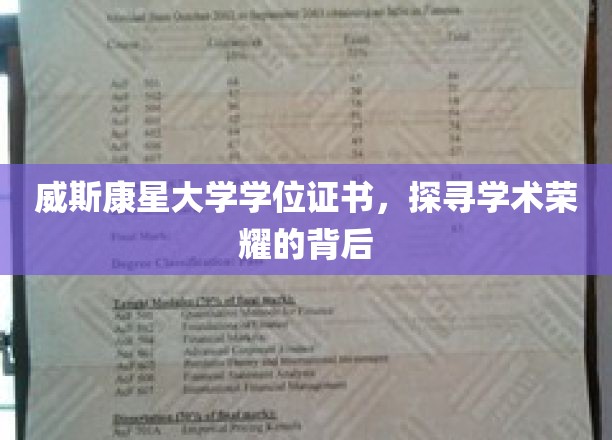 威斯康星大学学位证书，探寻学术荣耀的背后