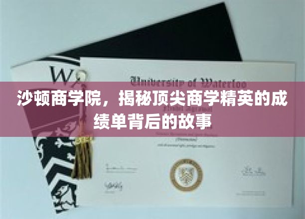 解码沙顿精英，揭开商学翘楚成绩单背后的传奇历程