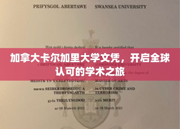 加拿大卡尔加里大学文凭，开启全球认可的学术之旅