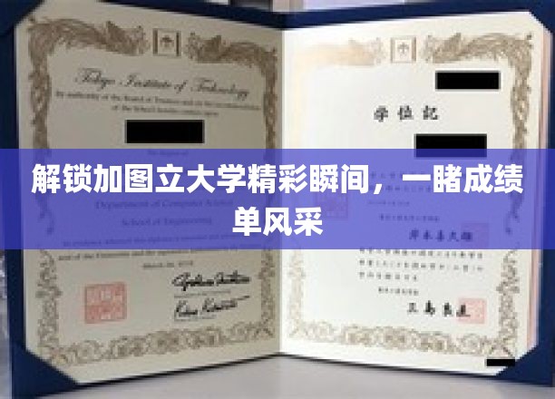 加图立大学成绩单大放异彩，揭秘校园精彩瞬间