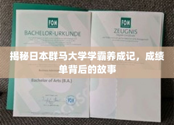 群马大学学霸养成传奇，揭秘成绩单背后的奋斗轨迹