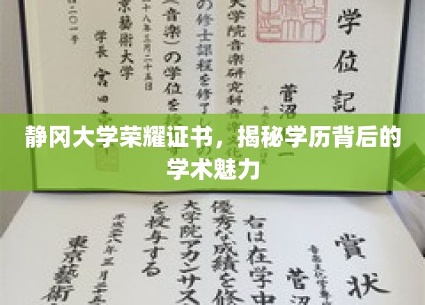静冈大学荣誉证书，揭秘学历背后的学术魅力
