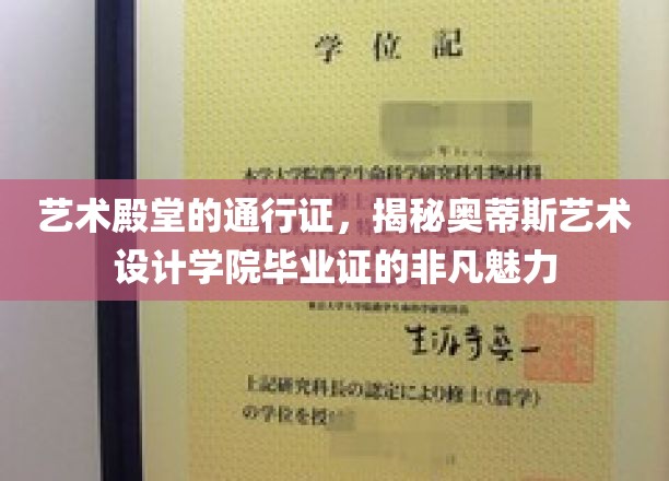 艺术精英的荣耀象征，奥蒂斯艺术设计学院毕业证的独特风采