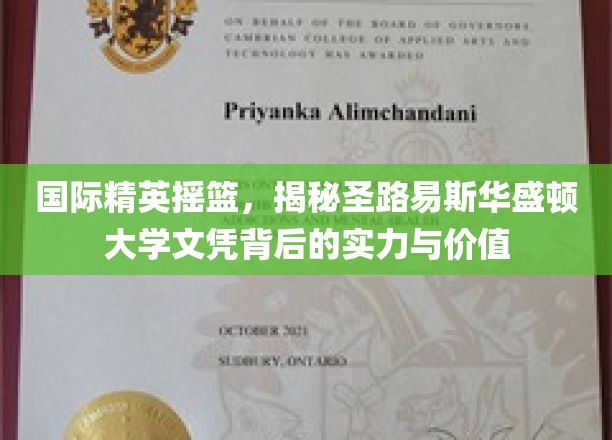 解码圣路易斯华盛顿大学，精英教育的全球价值与实力见证