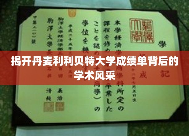 探秘丹麦利利贝特大学，成绩单里的学术魅力与卓越风采