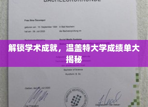 揭开学术辉煌，探秘温盖特大学卓越成绩单背后的秘密