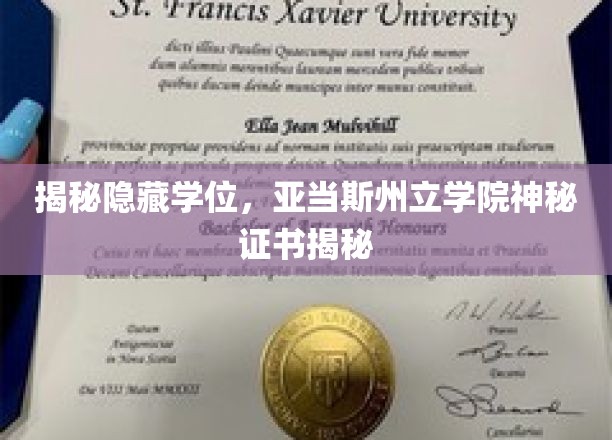 揭秘隐藏学位，亚当斯州立学院神秘证书揭秘