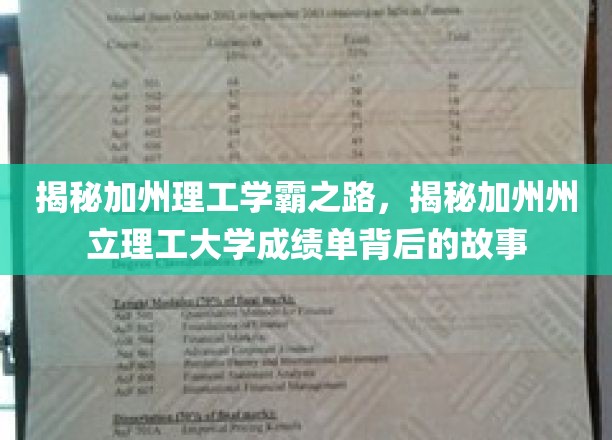 探索加州理工学霸传奇，揭开州立理工大学学术辉煌背后的真实轨迹