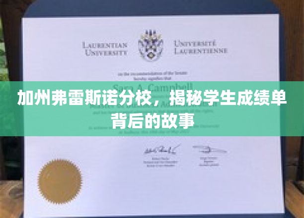 加州弗雷斯诺分校，揭秘学生成绩单背后的故事