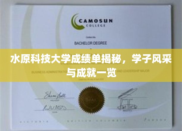 水原科技大学学子卓越成就，一睹风采背后的成绩单揭秘