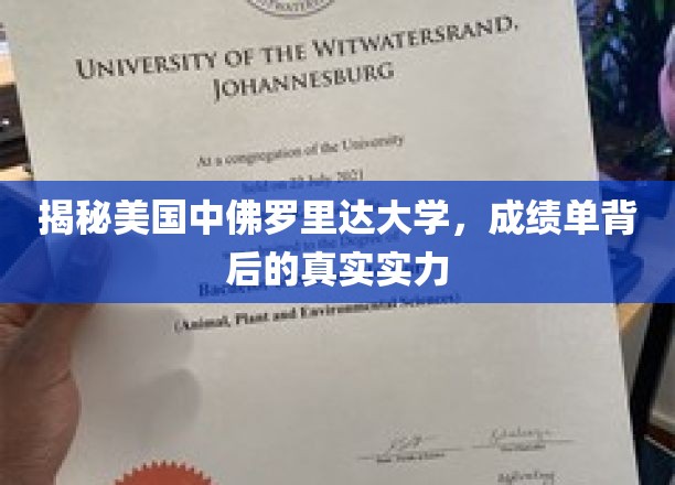 美国中佛罗里达大学，成绩单下的实力真相大起底