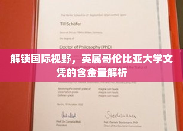 跨国学历优势揭秘，英属哥伦比亚大学文凭价值全解析