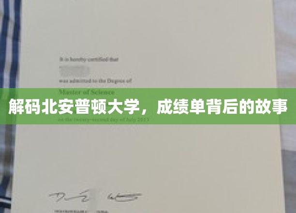 解码北安普顿大学，成绩单背后的故事