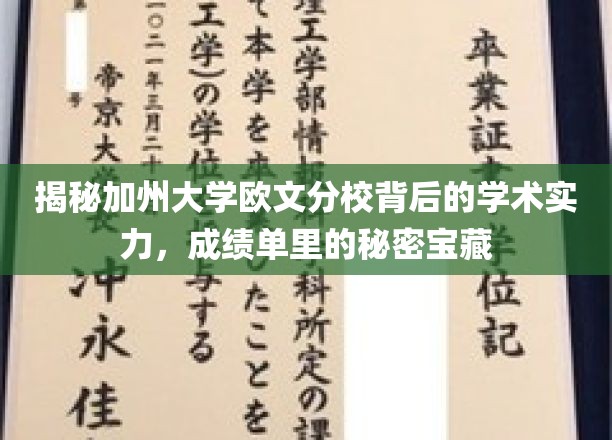 加州欧文分校，探寻学术殿堂的秘密实力宝藏