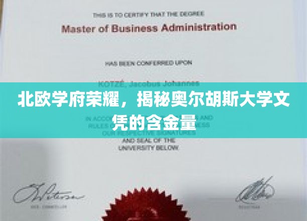 探寻北欧教育瑰宝，奥尔胡斯大学文凭的非凡价值