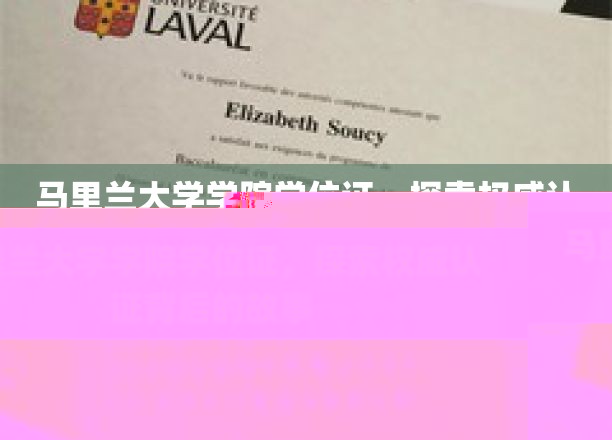马里兰大学学位证揭秘，权威认证背后的传奇之路