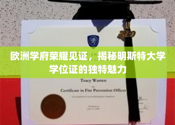 欧洲顶尖学府的荣耀凭证，明斯特大学学位证的独到风采