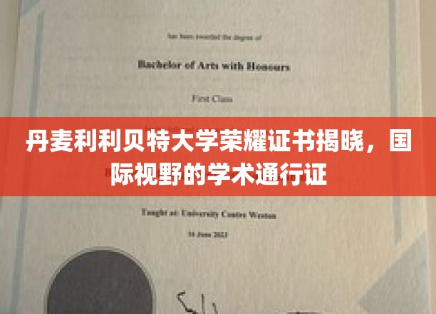跨国学术荣耀，丹麦利利贝特大学证书，开启全球学术之旅