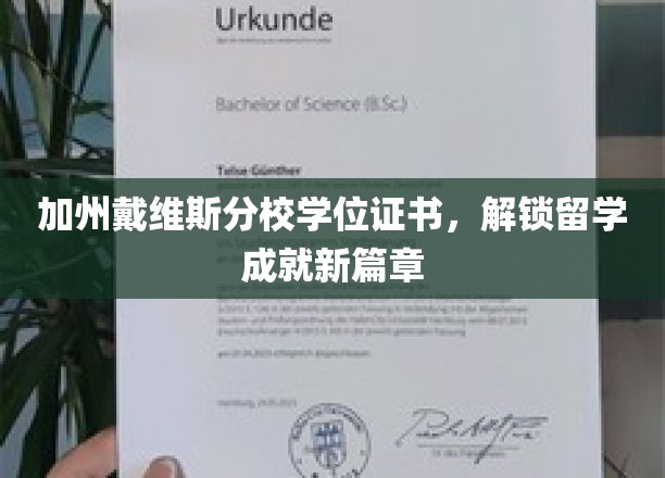 加州戴维斯分校学位证书，解锁留学成就新篇章
