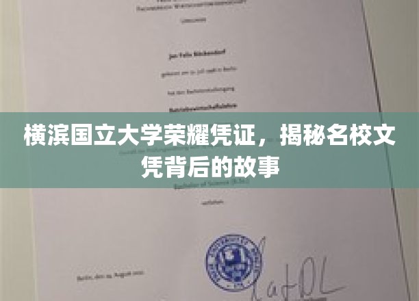 横滨国立大学荣耀证书，揭秘名校文凭背后的故事