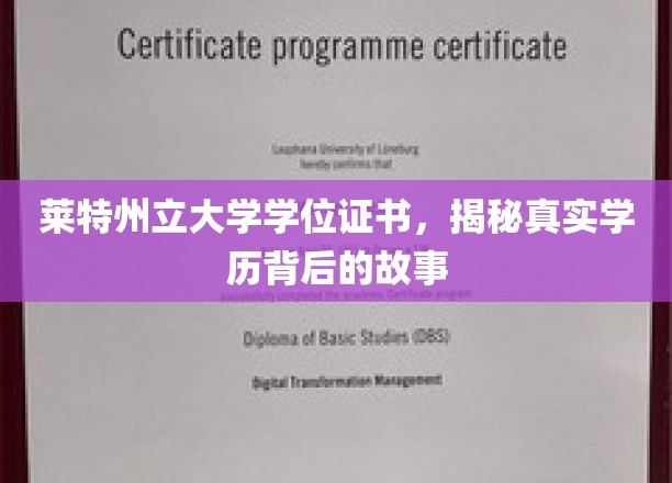 莱特州立大学学位证书，揭秘真实学历背后的故事