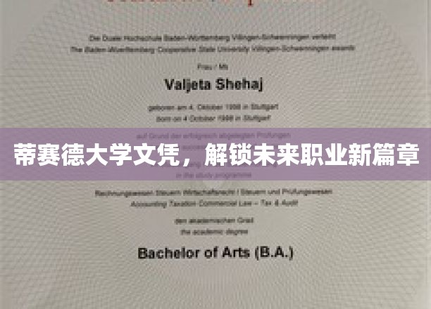 开启职业生涯新纪元的蒂赛德大学文凭之旅