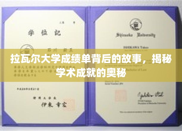 解码拉瓦尔大学成绩单，探寻学术辉煌的秘密通道