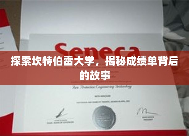 探索坎特伯雷大学，揭秘成绩单背后的故事