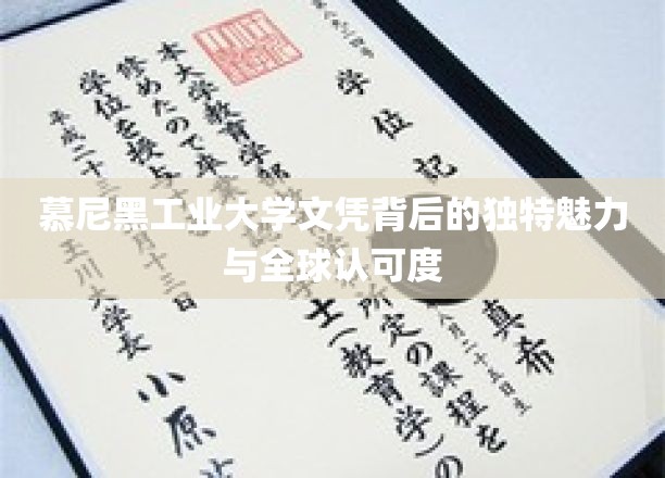 揭开慕尼黑工业大学文凭的全球瞩目之谜，卓越教育成就的非凡魅力